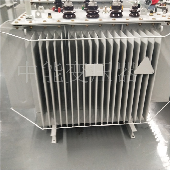 黔东南S20-800KVA变压器